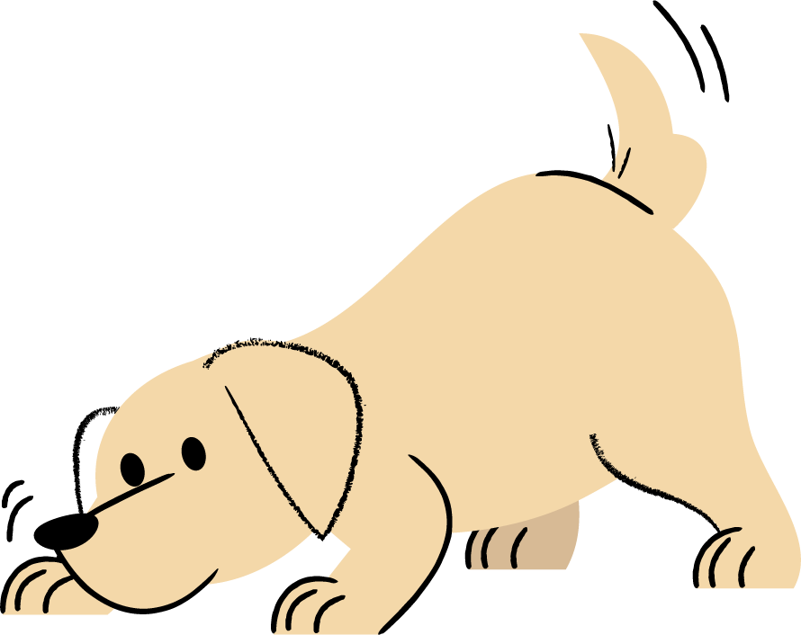 遊ぶポーズの子犬