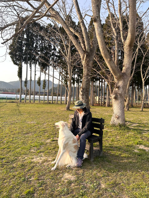 松永見悟のプロフィール写真